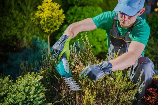 landscaping services New Boston